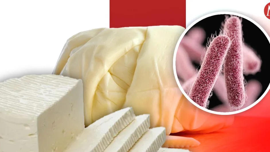 Bacteria - milenio