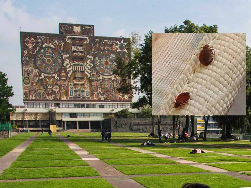 UNAM - EXCELSIOR (2)