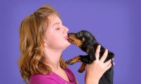 besar al perro