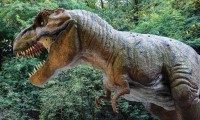 cerca-2500-millones-t-rex-habitaron-nuestro-planeta