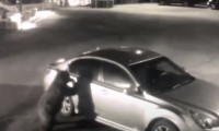 Oso intenta abrir la puerta del auto de un policía en el condado de Sierra, California