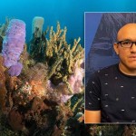 Biólogo mexicano descubre en esponjas marinas fármacos contra alzheimer y covid