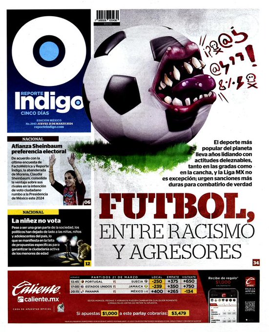 Reporte Indigo