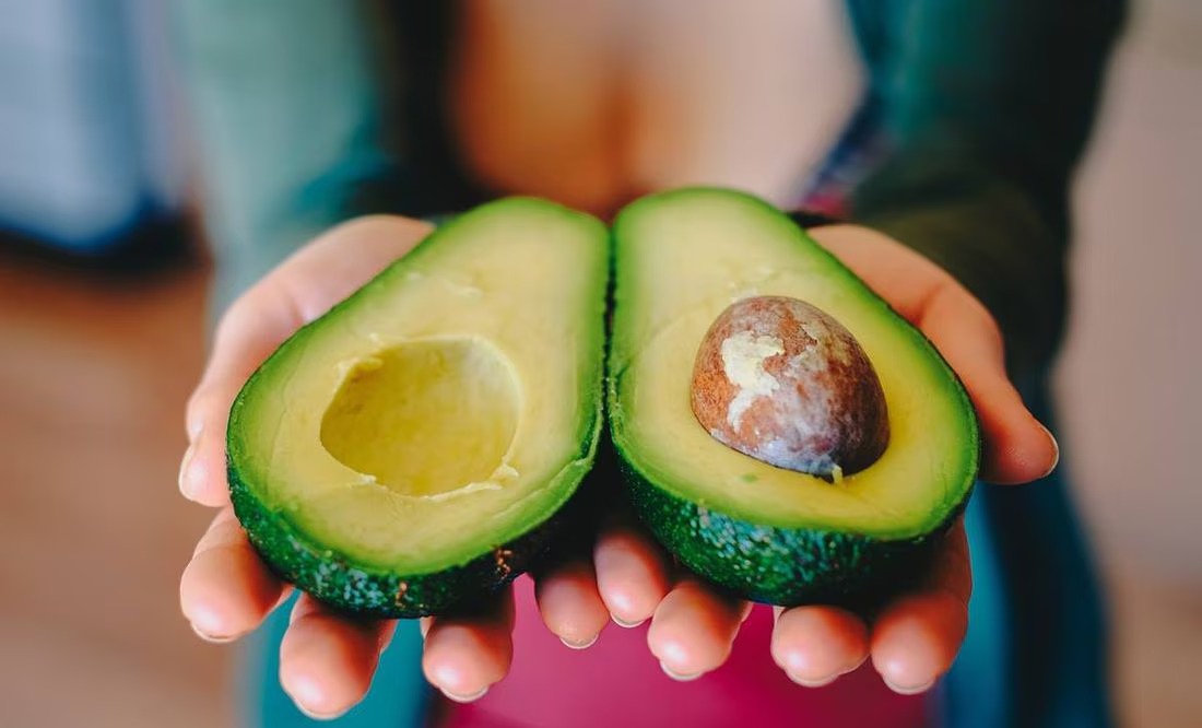 Aguacate El Universal