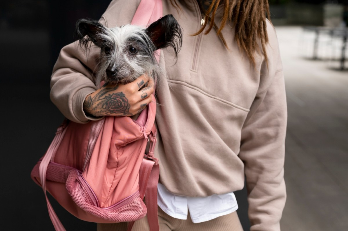Portal Veterinaria - Animales
