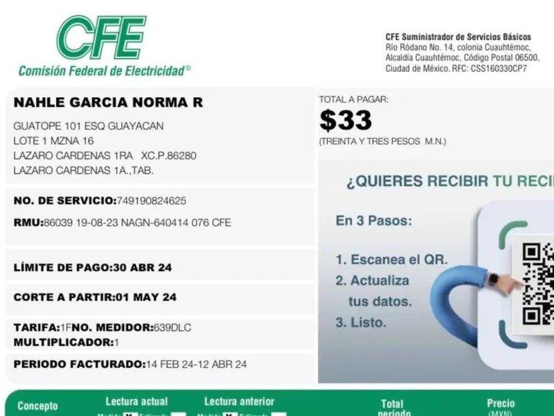 Rocio Nahle - Excelsior
