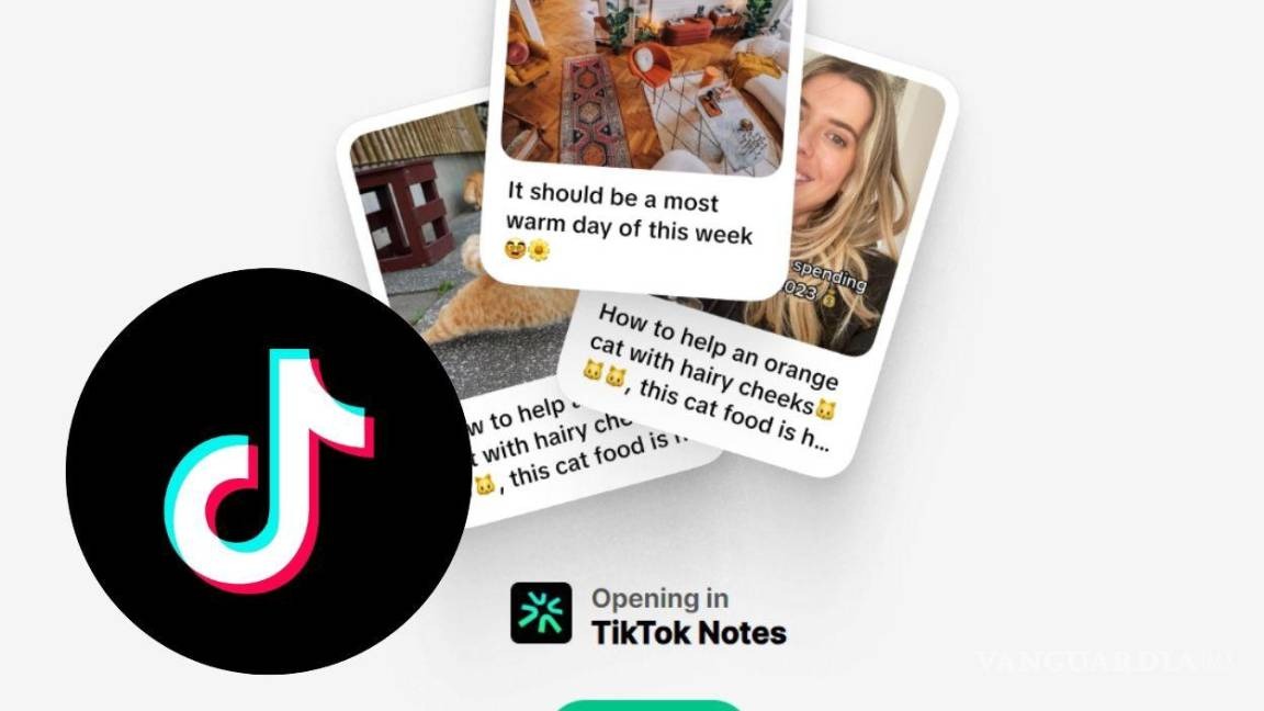 Tiktok Notes - Vanguardia