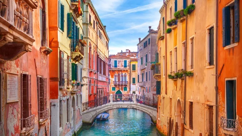 Venecia C5N