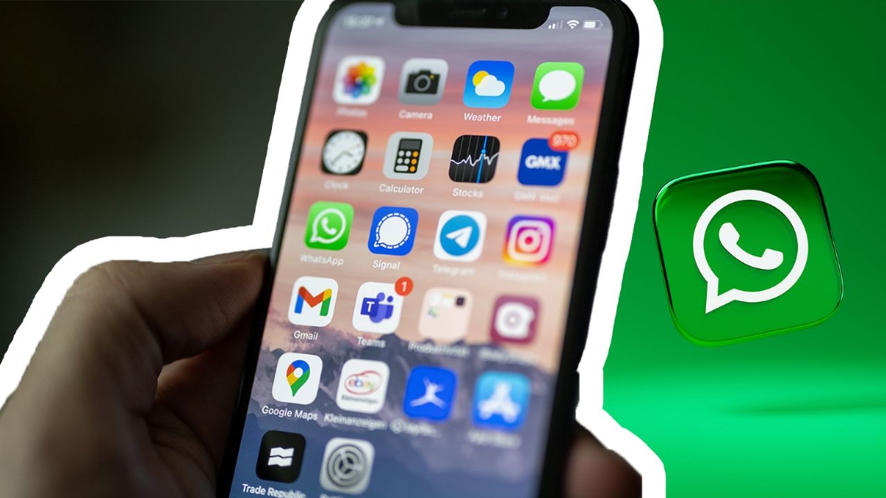 Whatsapp MSV Noticias