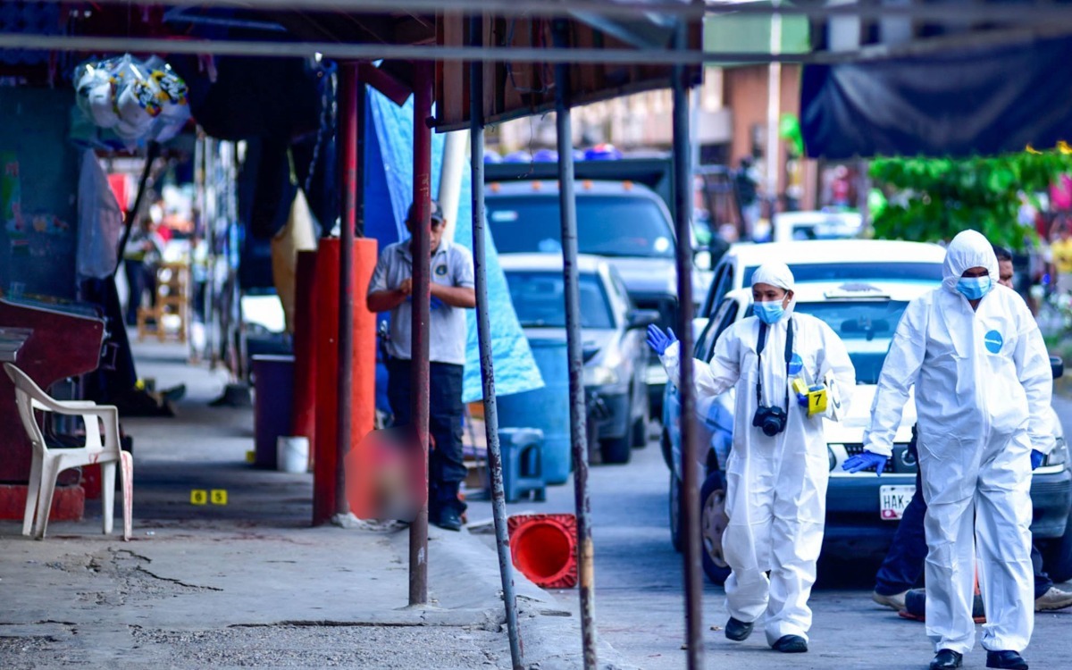 acapulco terror - aristegui