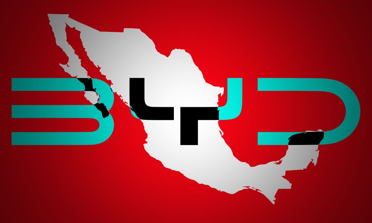 byd - elceo