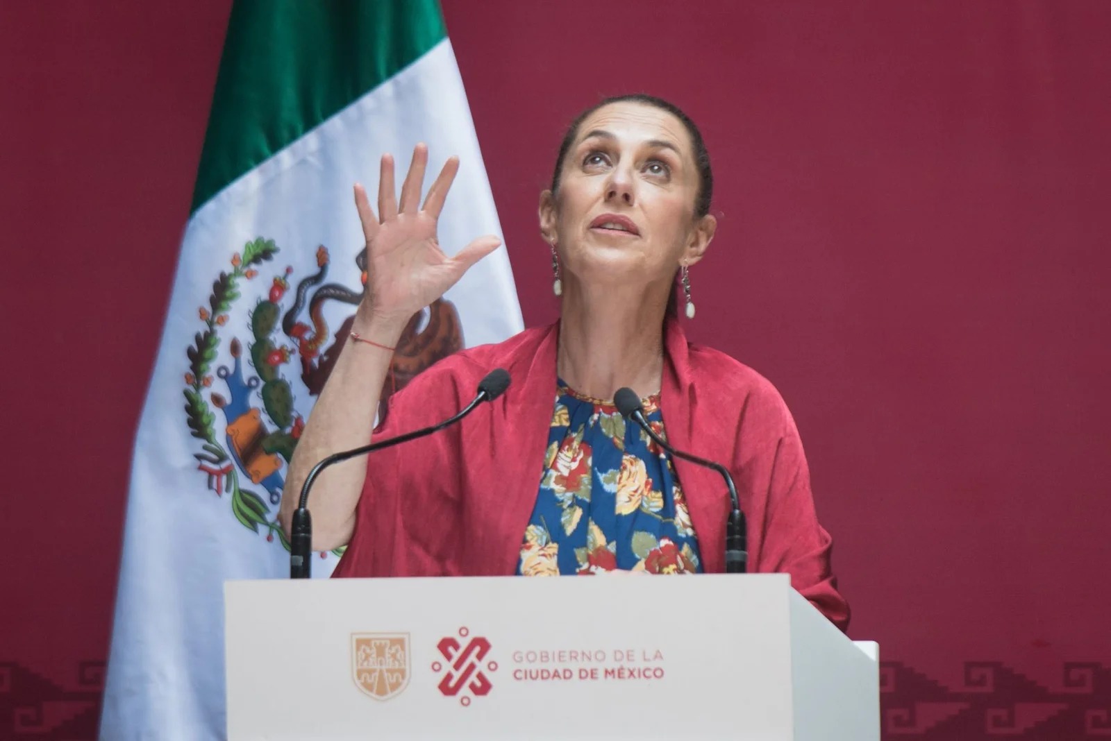 Claudia sheinbaum - etcetera