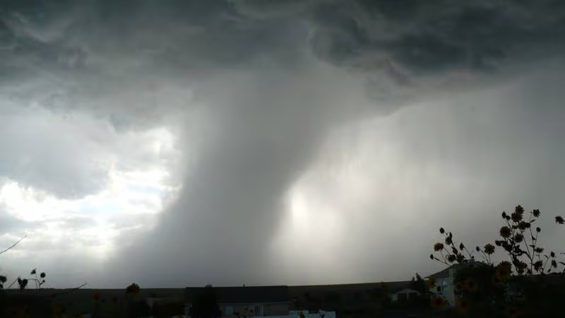 El Financiero El tornado
