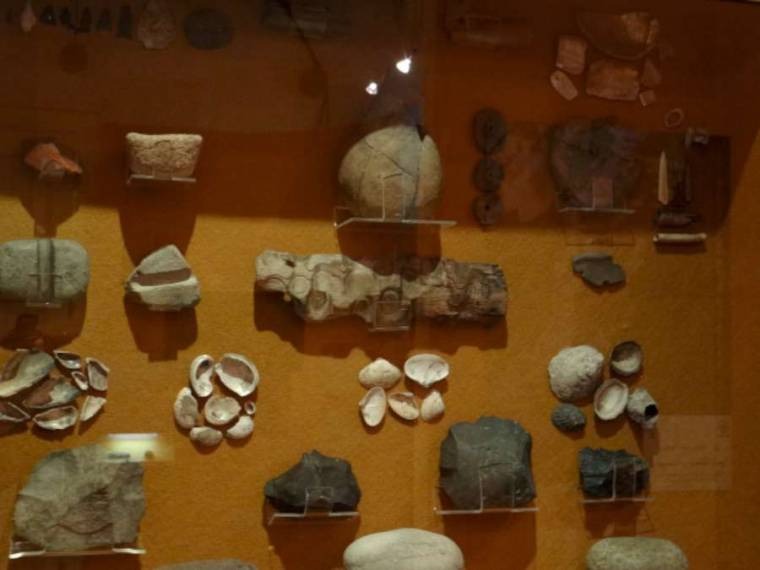 Museo ensenada - tijuana informativo