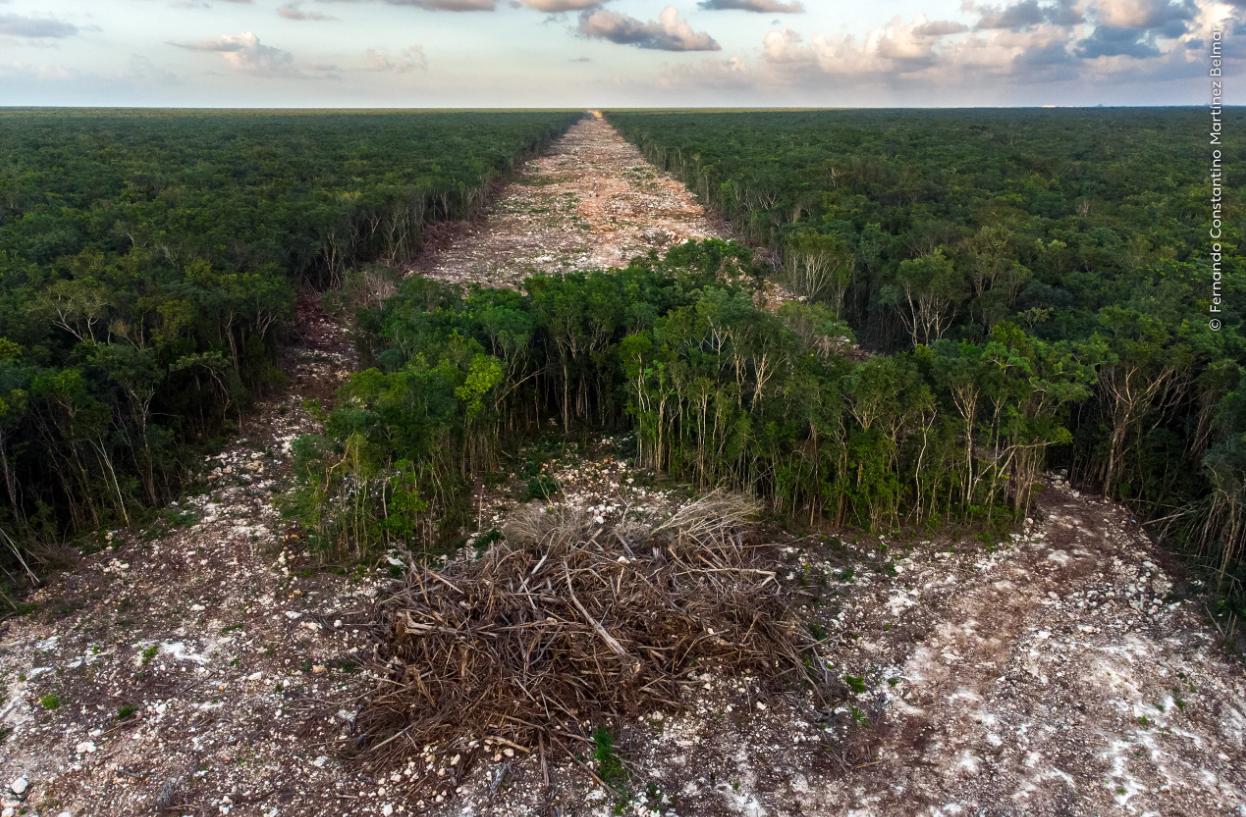 The Tourism Bulldozer _ Wildlife Photographer of the Year _ Natural History Museum