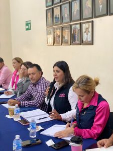 Urgente transitar a un gobierno digital, Brenda Valenzuela