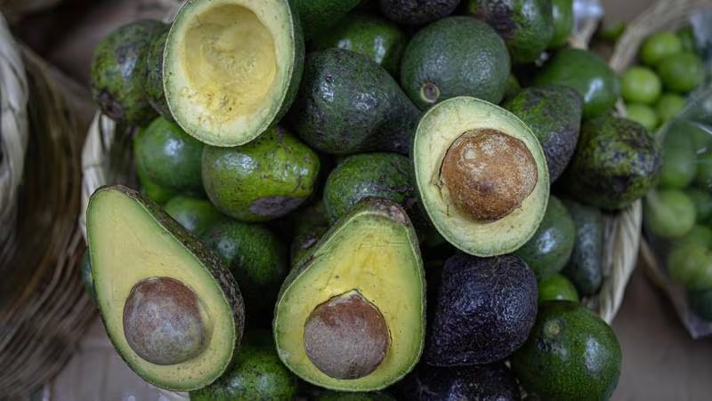 Aguacate el Financiero