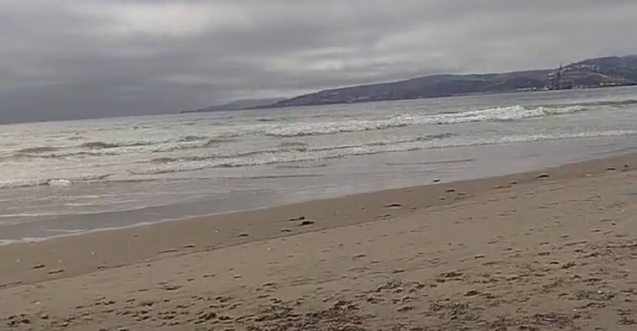 Ensenada el imparcial