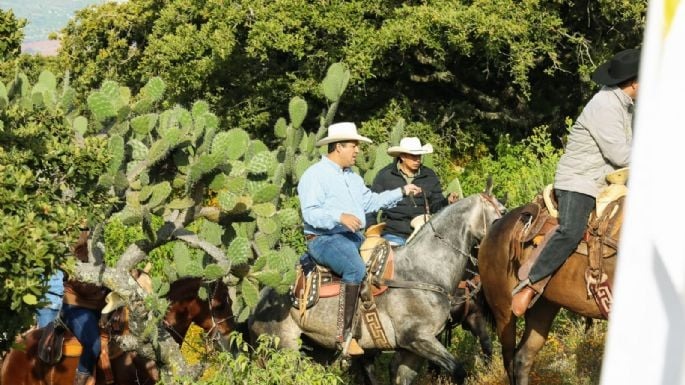 Guanajuato gobernador - proceso