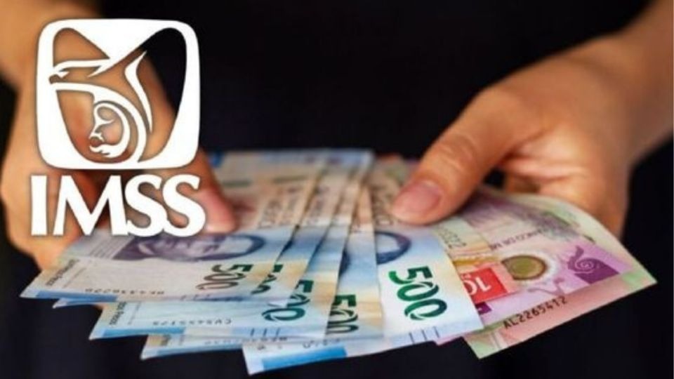 Pension IMSS - Heraldodemexico