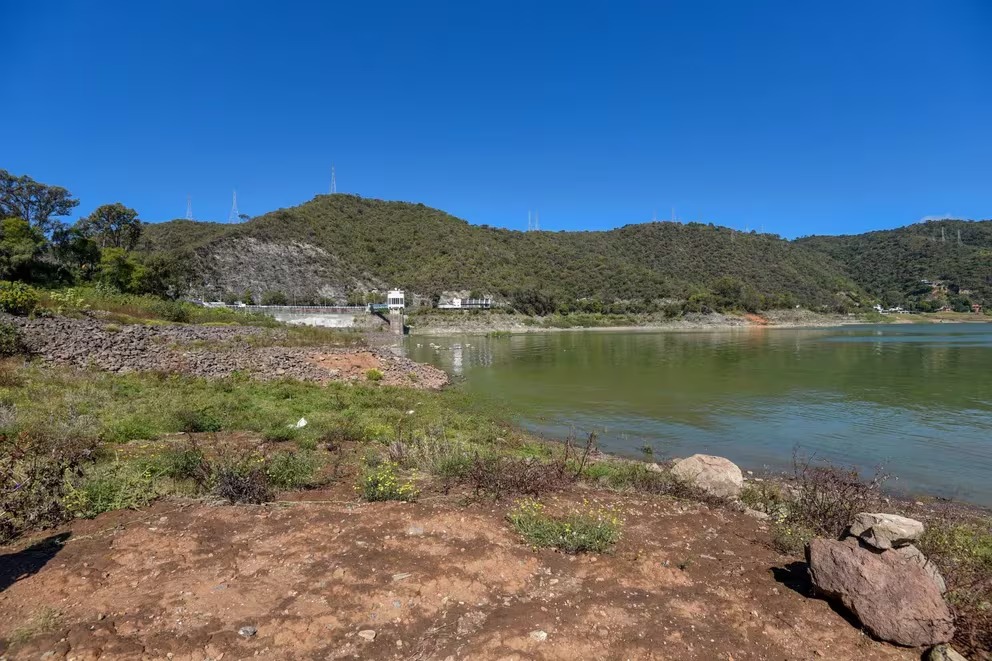 Infobae Presa