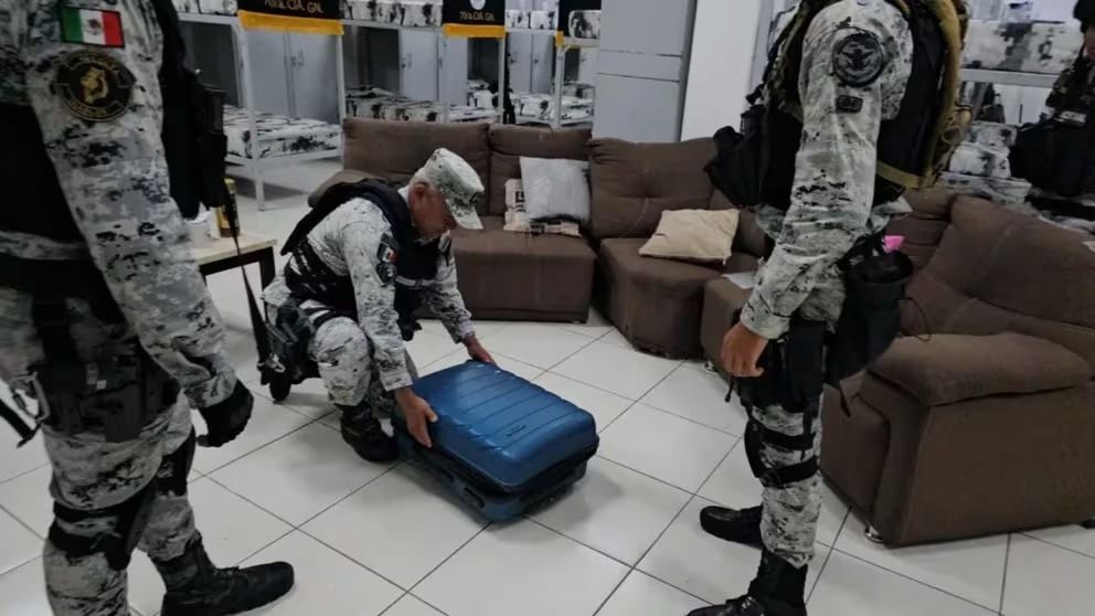 Infobae Guardia Nacional