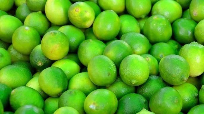 Limón grastolab