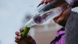 Mezcal - infoba