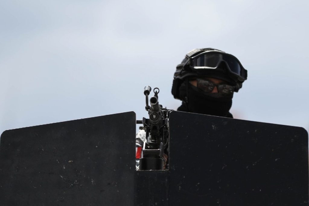 Armas militar - Animal Político