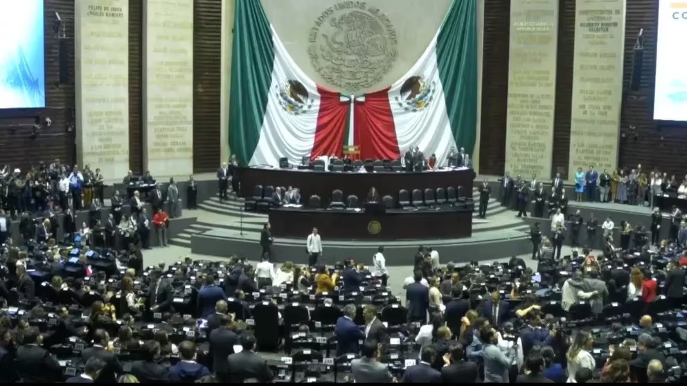 Camara de diputados - Infobae