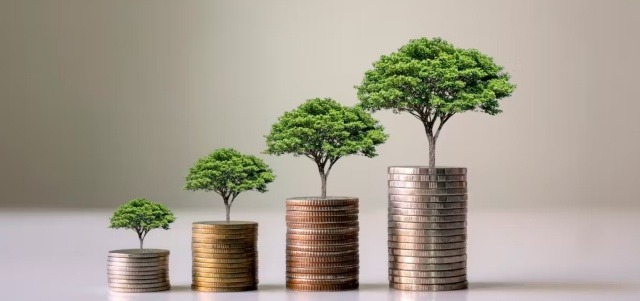 Inversion cetes - el economista