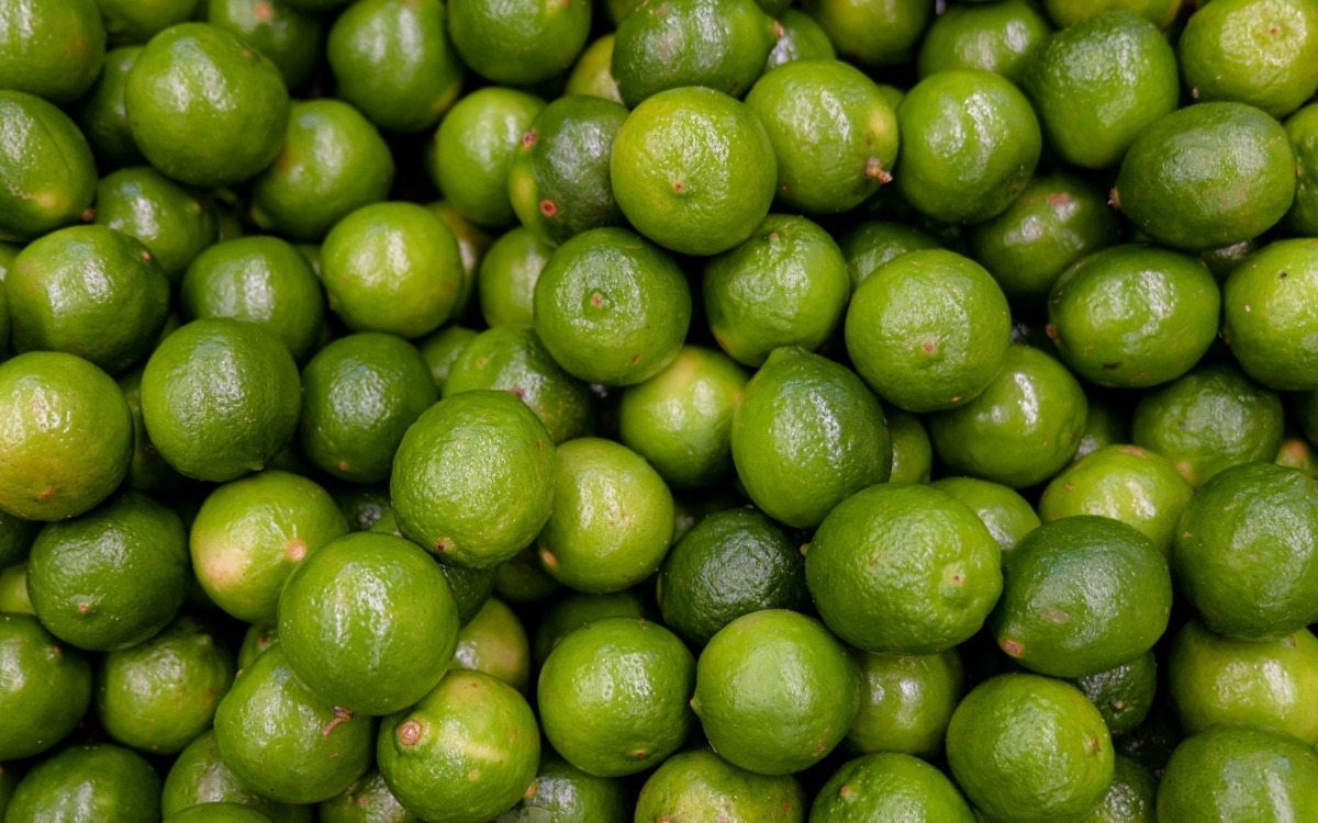 Limon Mexicano - Aristegui