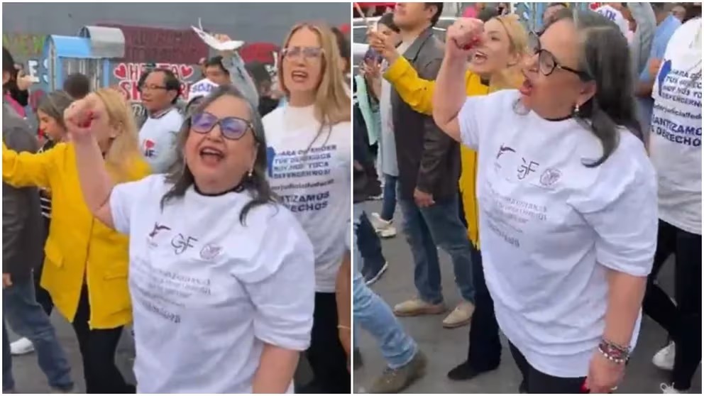 Norma piña - infobae