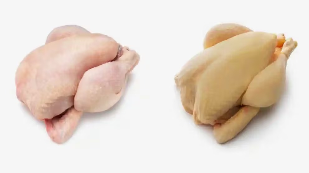 Pollo - Infobae