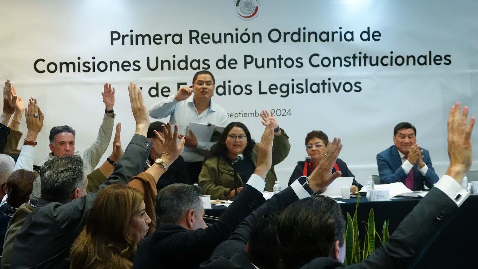 Senado - El financiero