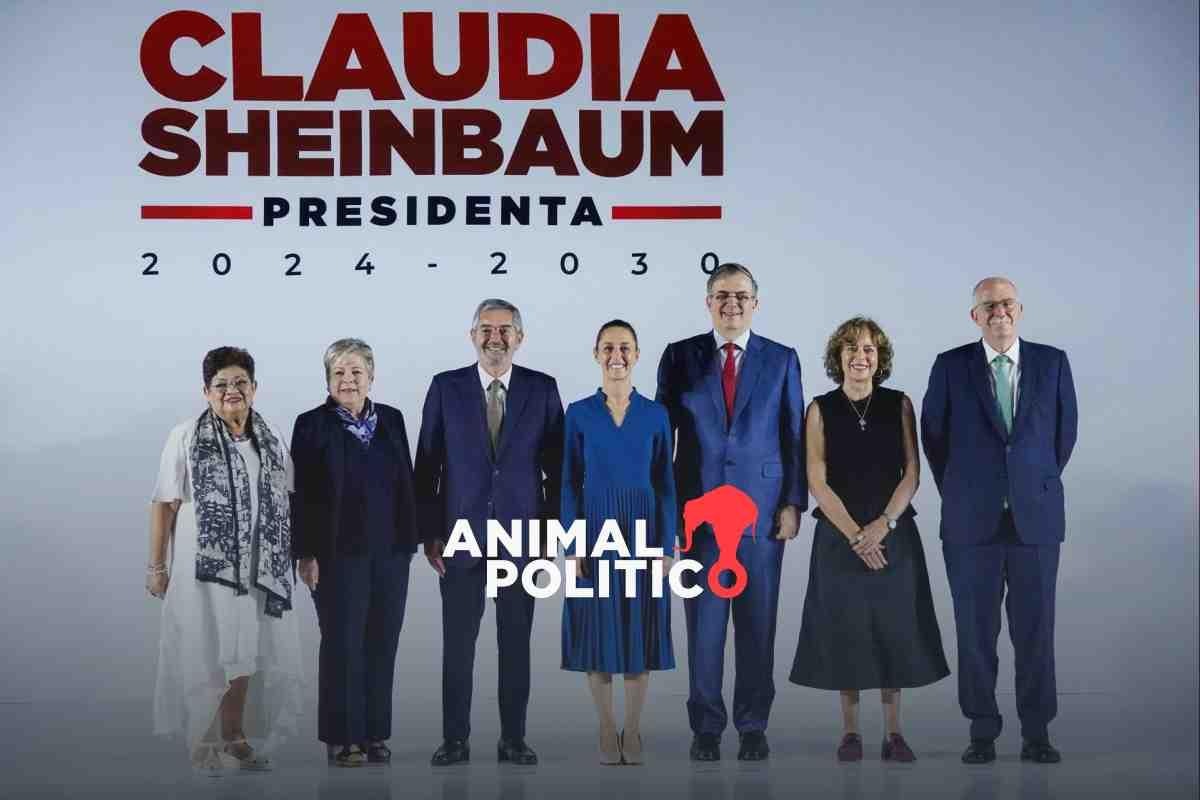 Claudia Sheinbaum - Animal Político