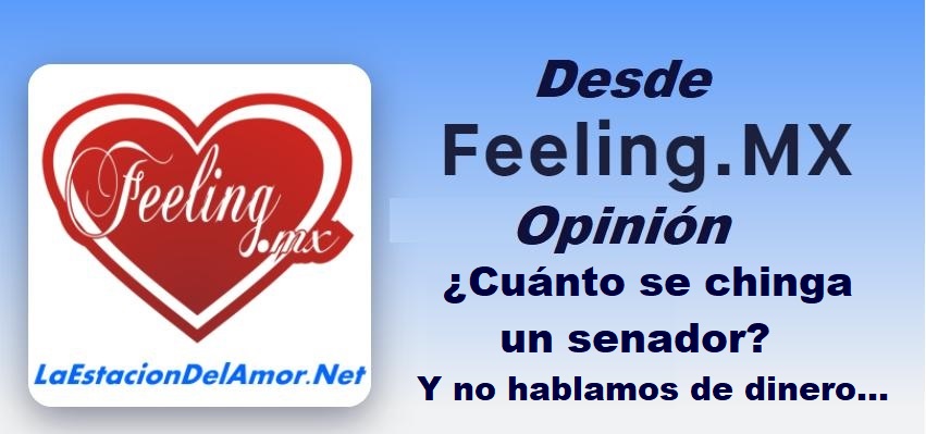 Cuánto se chinga un senador - Y no hablamos de dinero - desde-feelingmx-opinion - Opinión