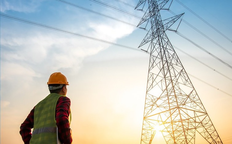 Estructura electrica - El Economista