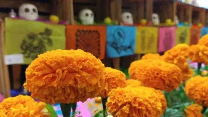 Flor dia de muertos - Gastrolabweb