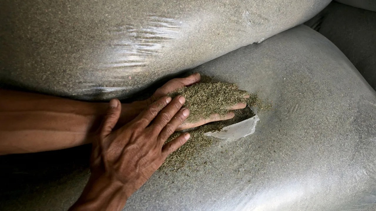 Kratom - Nationalgeographic