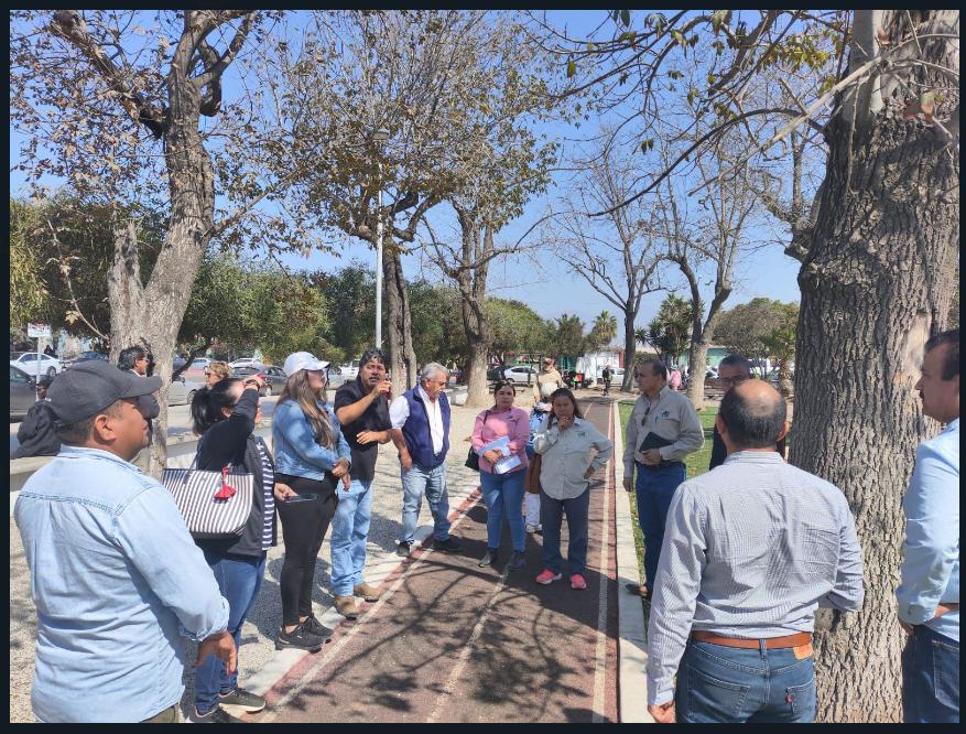 Parques enfermos o mal mantenidos pueden ser un peligro