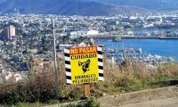 Van contra jaurías de perros