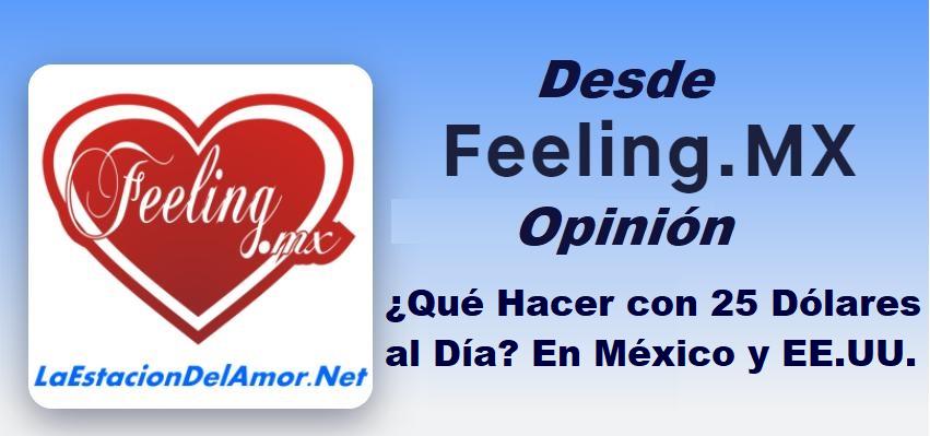 Qué Hacer con 25 Dólares al Día En México y EE.UU. desde-feelingmx-opinion