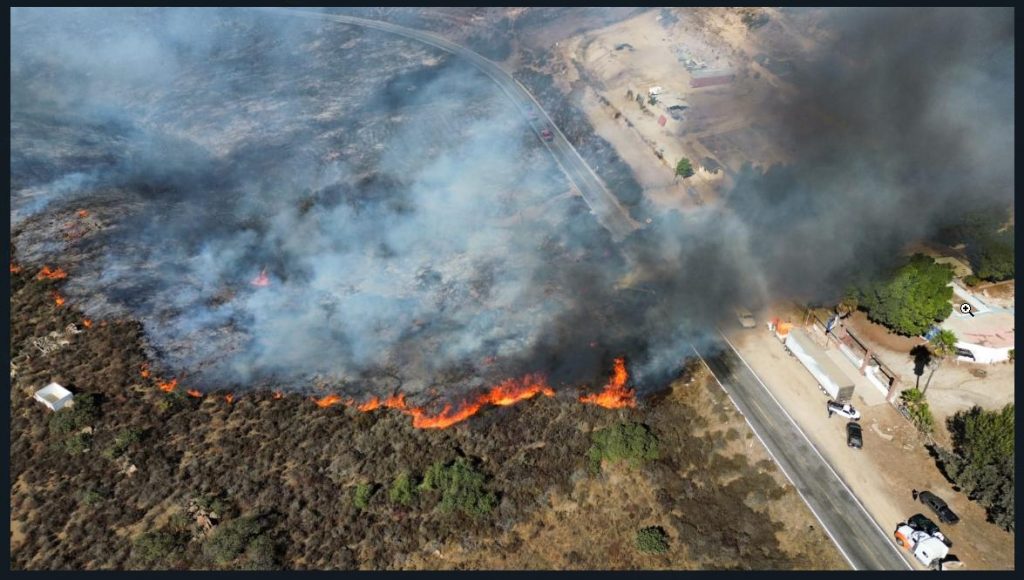 Reporte Preliminar Incendio Ojos Negros El Roble