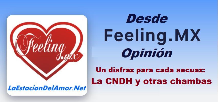 Un disfraz para cada secuaz - La CNDH y otras chambas -desde-feelingmx-opinion