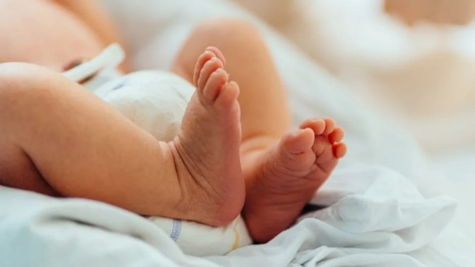 Baby - El Financiero