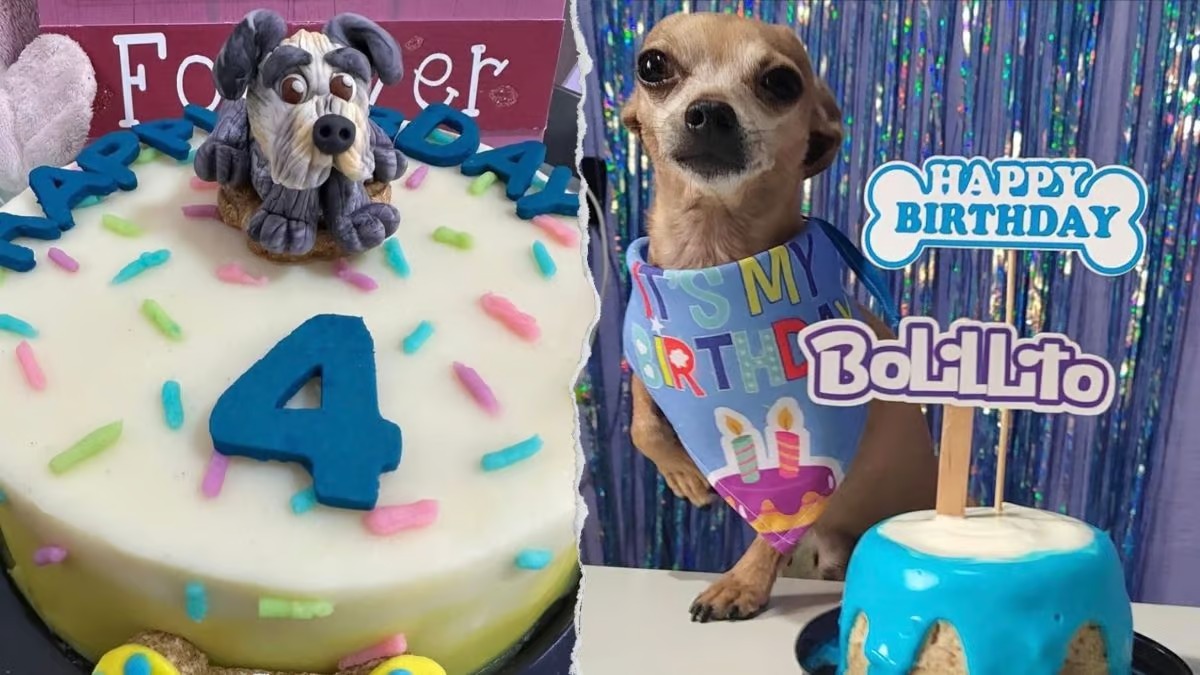 Perro - Chilango.com
