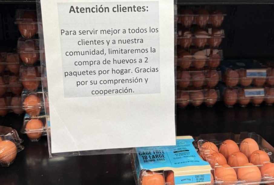Venta de huevos - tribunadelbahia