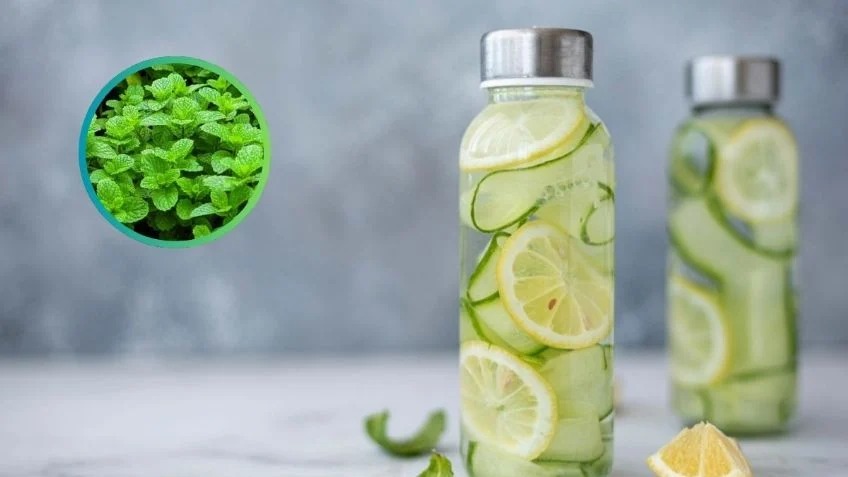 Agua de pepino y limon Gastrolabweb