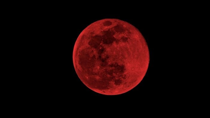 Luna de sangre - El mostrador
